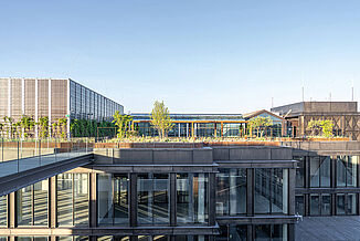 Die begrünte Dachterrasse des Projekts „Kalle Neukölln“ in Berlin, ausgestattet mit REGUPOL-Trittschalldämmung für eine nachhaltige Stadtentwicklung und Lärmminderung.