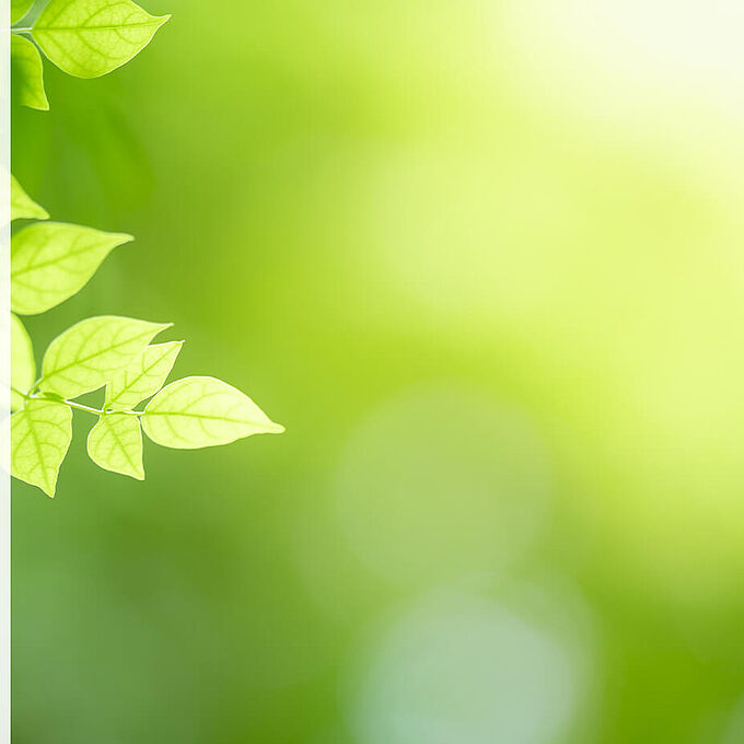 Nachweisservice von REGUPOL